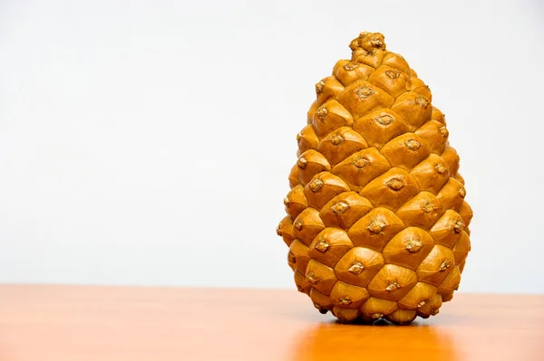 Single pine cone — Stock Photo, Image
