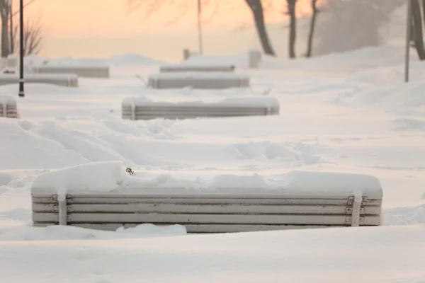 Park bench winter snow — Stock Photo, Image