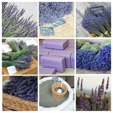 Lavender collage clipart