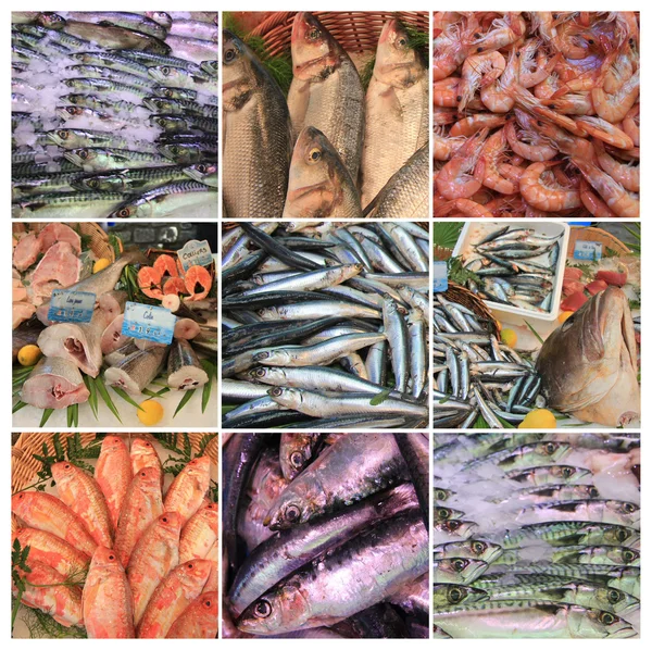 Collage mercado francés de pescado —  Fotos de Stock