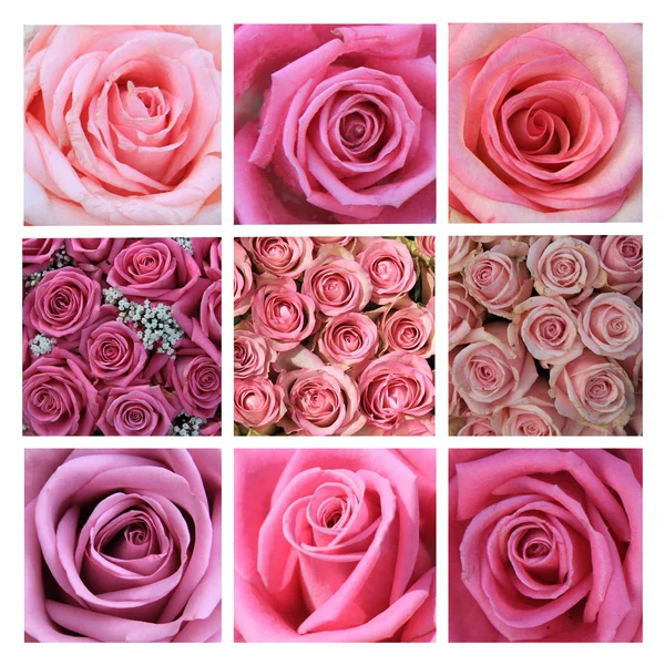 粉红玫瑰拼贴画 — 图库照片