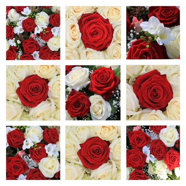 Röda och vita ros collage — Stockfoto