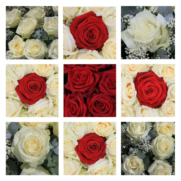 红色和白色的玫瑰拼贴画 — 图库照片