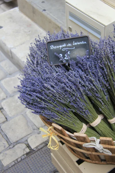 Lavendel till salu — Stockfoto