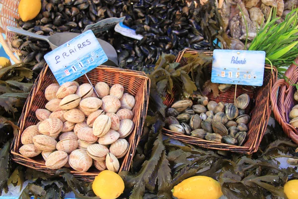 Mariscos en un mercado de pescado — Foto de Stock