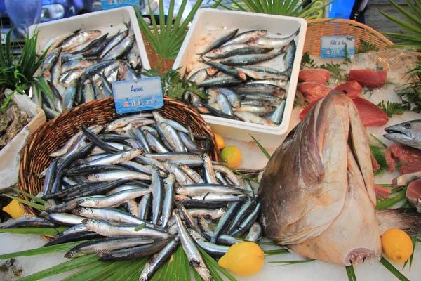 Peixes frescos num mercado de peixe — Fotografia de Stock
