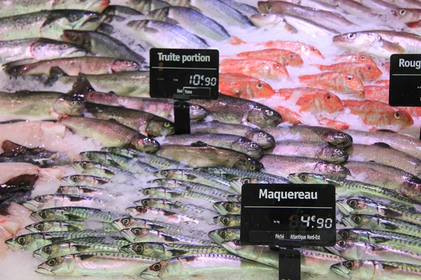 Forellen, mackarels en goatfish op vismarkt — Stockfoto