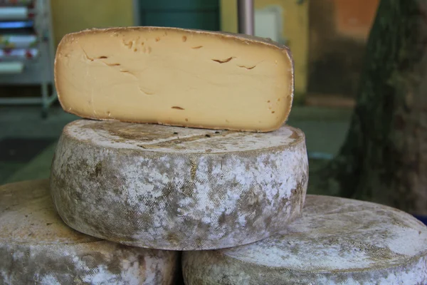 Cheese on a French market — Zdjęcie stockowe