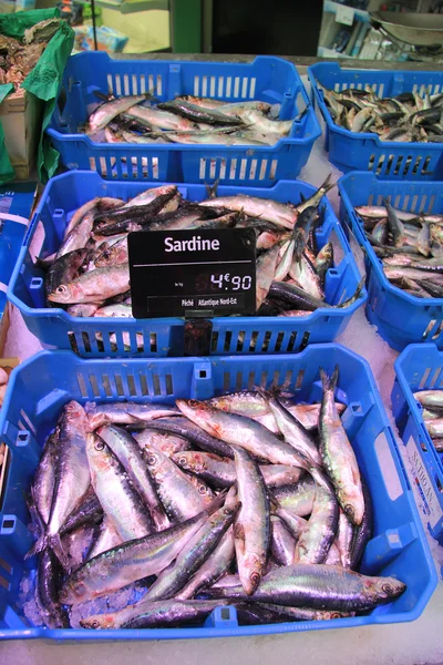 Sardinhas num mercado de peixe — Fotografia de Stock