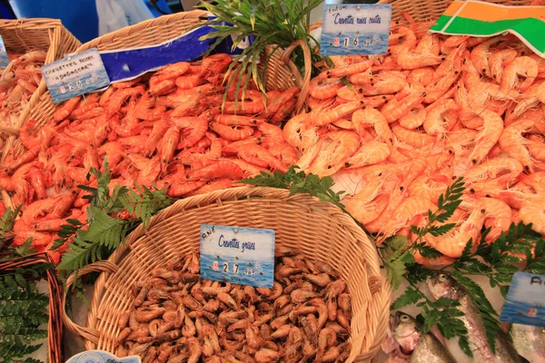 Diferentes tipos de camarões — Fotografia de Stock