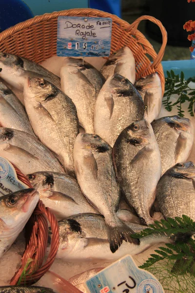 Seabreams balık pazarında — Stok fotoğraf