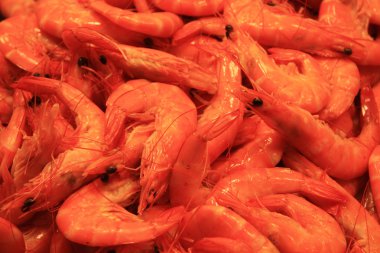 Shrimps at the fish market clipart