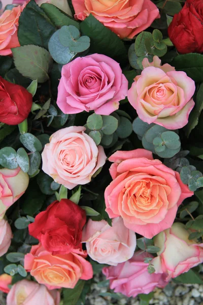 Rose in diverse tonalità di rosa — Foto Stock
