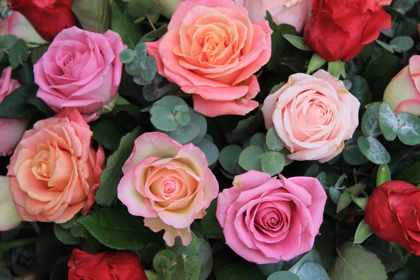 Rosen in verschiedenen Rosatönen — Stockfoto