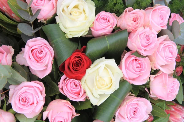 Rose rosse, bianche e rosa — Foto Stock