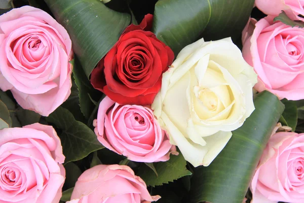 Червоні, білі та рожеві троянди — стокове фото