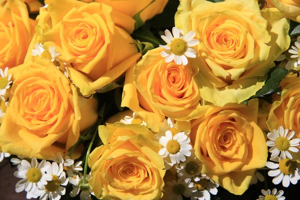 Yellow roses and matricaria in sunlight — Stock Photo, Image
