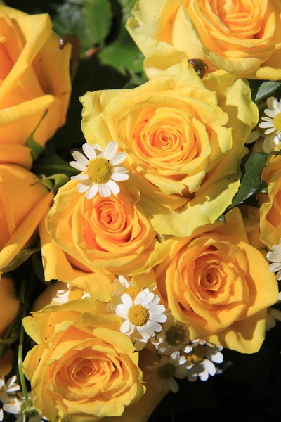 Rosas amarillas y matricaria a la luz del sol — Foto de Stock