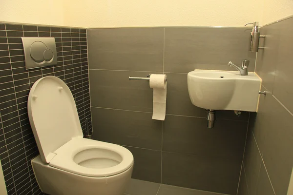 灰色の色合いでトイレ — ストック写真