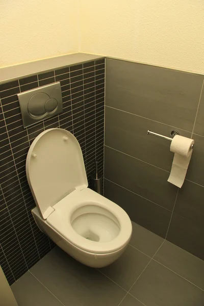 Туалет в відтінках сірого — стокове фото