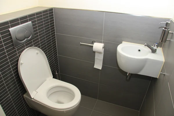 Туалет в відтінках сірого — стокове фото