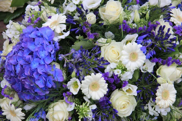 Disposizione floreale bianca e blu — Foto Stock