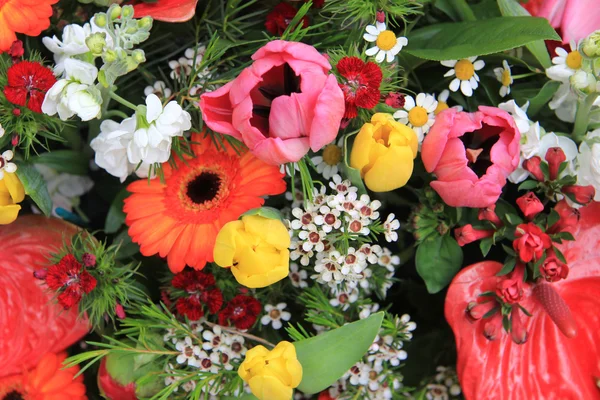 Blomsterarrangement i sterke farger – stockfoto