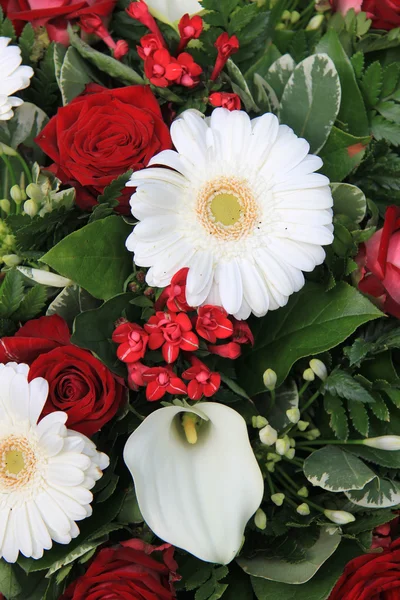 Arrangement de fleurs rouges et blanches — Photo