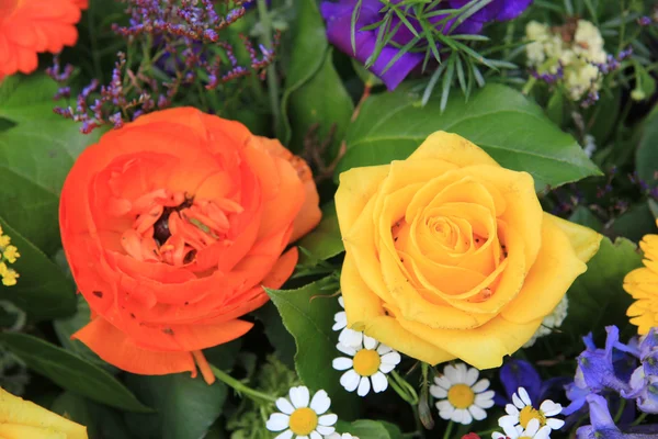 Żółty i pomarańczowy rose — Zdjęcie stockowe