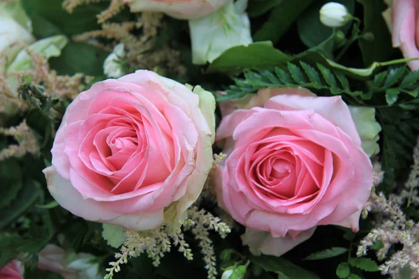 Ροζ τριαντάφυλλο κοντά — Φωτογραφία Αρχείου