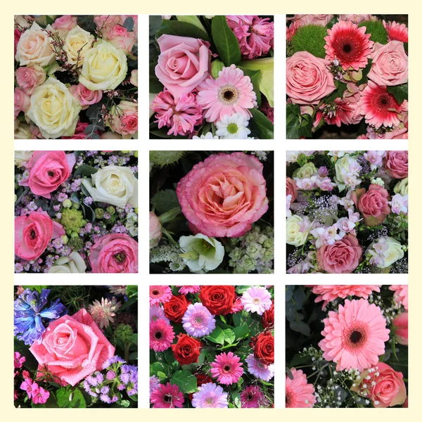 Blandade rosa blomma collage — Stockfoto