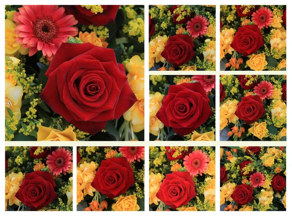 Czerwone i żółte róża kolaż — Zdjęcie stockowe