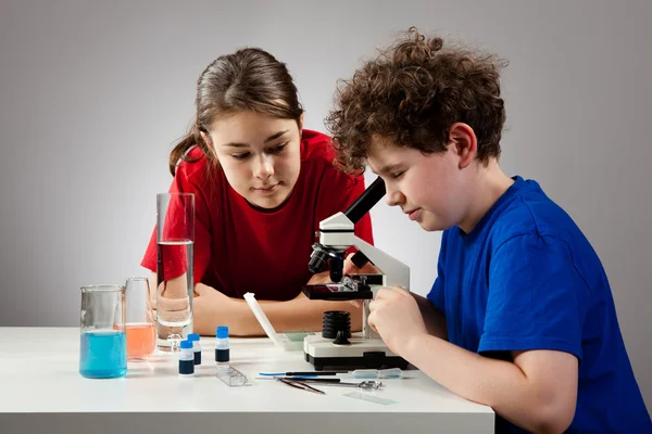 Crianças examinando a preparação ao microscópio — Fotografia de Stock