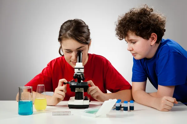 Діти вивчають підготовку під мікроскопом — стокове фото