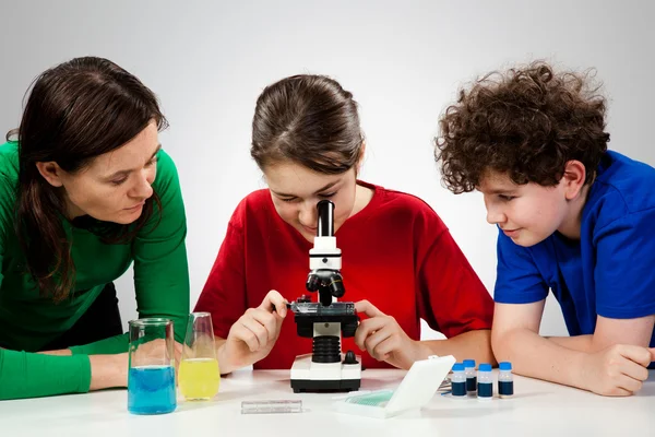 Kids examining preparation under the microscope — Stock Photo, Image