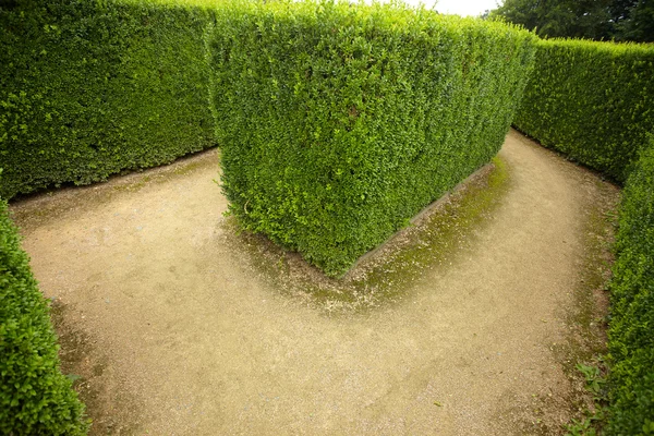 Geometriska mönster av gröna häcken blomsterrabatt — Stockfoto