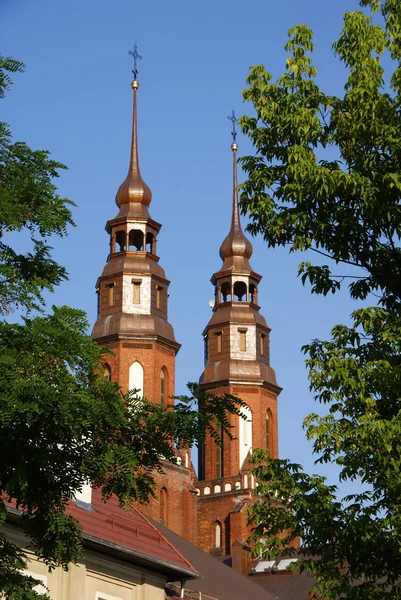 Torres de la iglesia detrás de los árboles — Foto de Stock