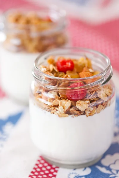 Läcker och hälsosam yoghurt med müsli — Stockfoto