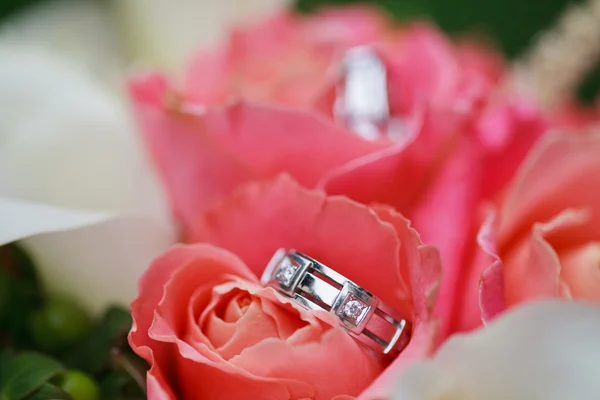 Wedding rings on the flowers — Stock Photo, Image