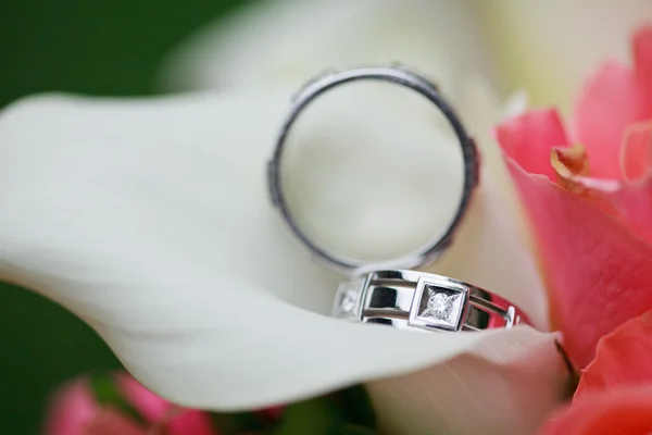 Snubní prsteny na květiny — Stock fotografie