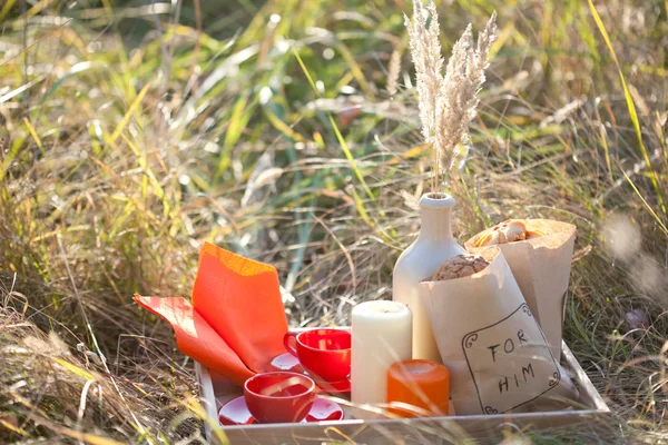 Piknik - çay ve kurabiye — Stok fotoğraf