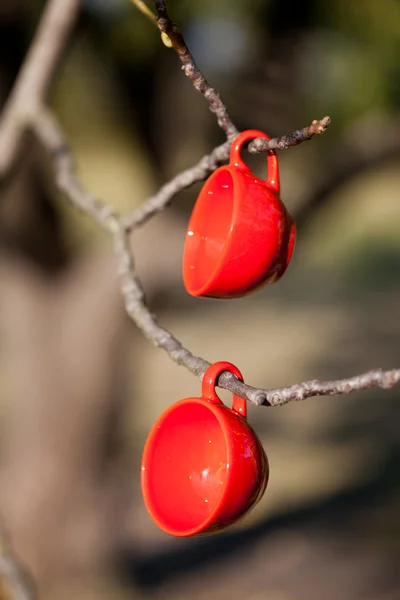 Twee rode kopjes op een boom — Stockfoto