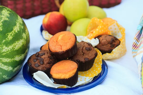 Тарелка для пикника - фрукты, кексы — стоковое фото