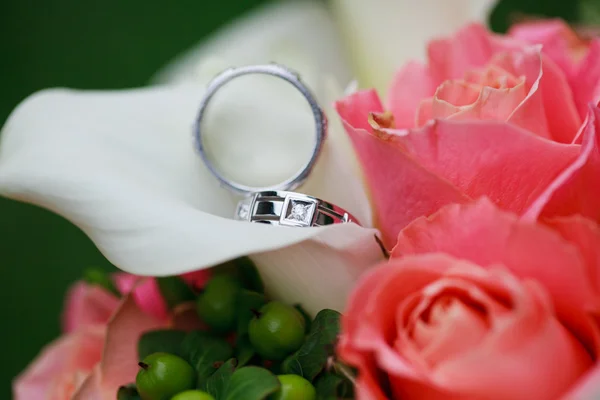 Wedding rings on the flowers — Stock Photo, Image