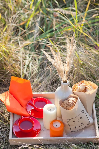 Piknik - čaj a pečivo — Stock fotografie