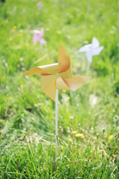 Molino de viento de papel en campo de hierba verde —  Fotos de Stock