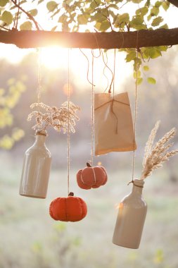 Harvested pumpkins decorate clipart