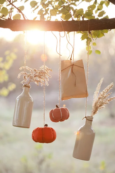 Harvested pumpkins decorate — Stock Photo, Image