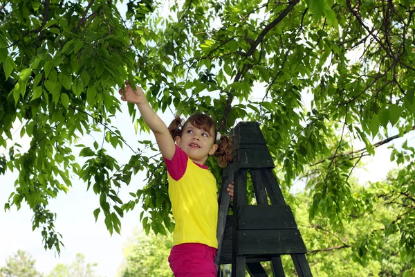 Kleines Mädchen, das von den Blättern der Bäume gepflückt wird — Stockfoto