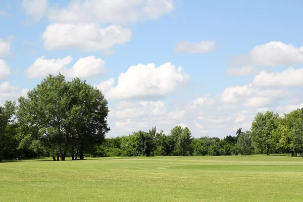 Grön gräsmatta och träd sommar landskap — Stockfoto